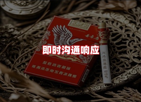 专业团队